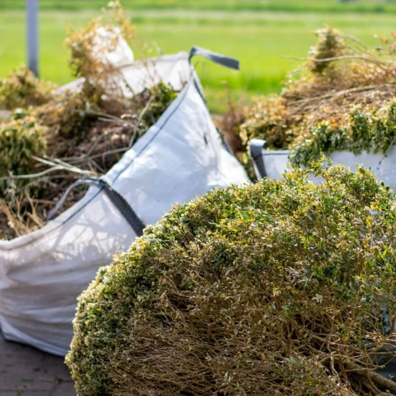 professional brush removal equipment cutting dense brush in Shreveport LA