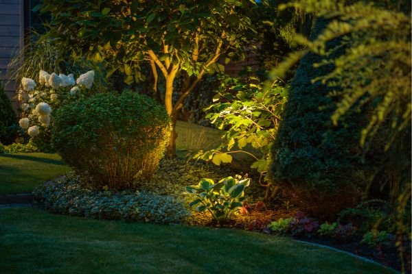 Landscape lighting in Palm Beach FL illuminating palms and garden pathways