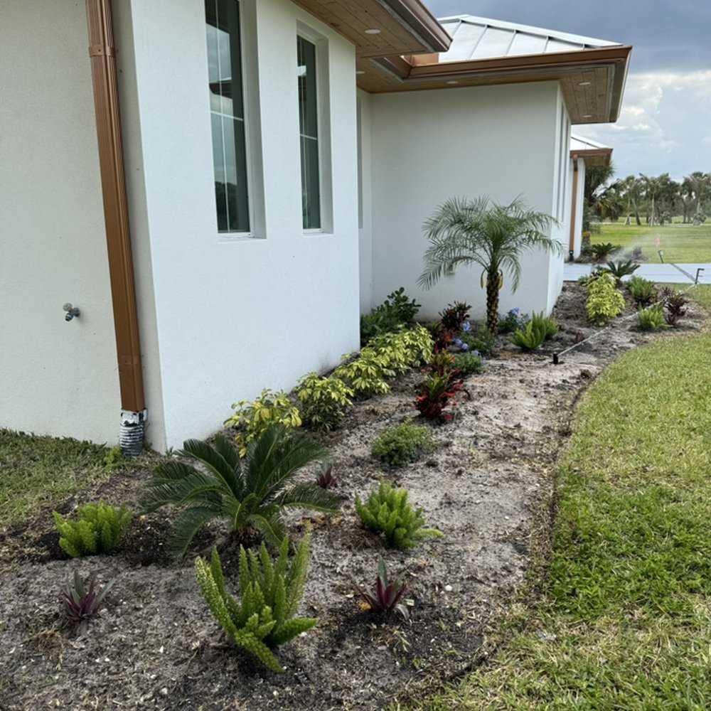 Plant health specialist examining foliage condition with diagnostic attention in landscaped property