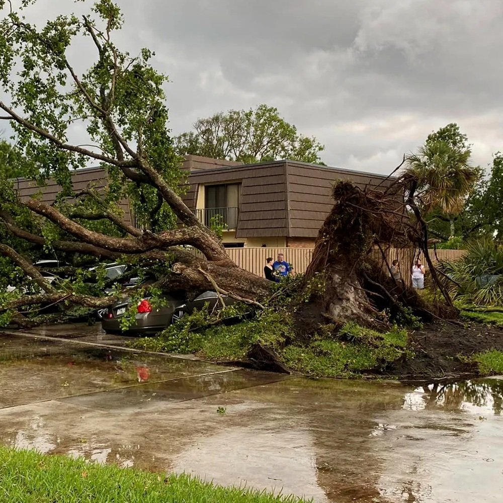 Crew clearing storm debris from blocked residential driveway after heavy winds