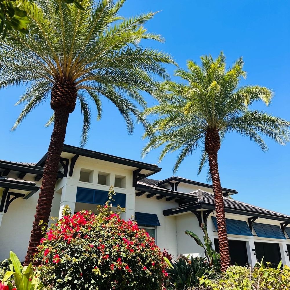 Crew trimming overgrown branches away from Palm Beach driveway and tile roof